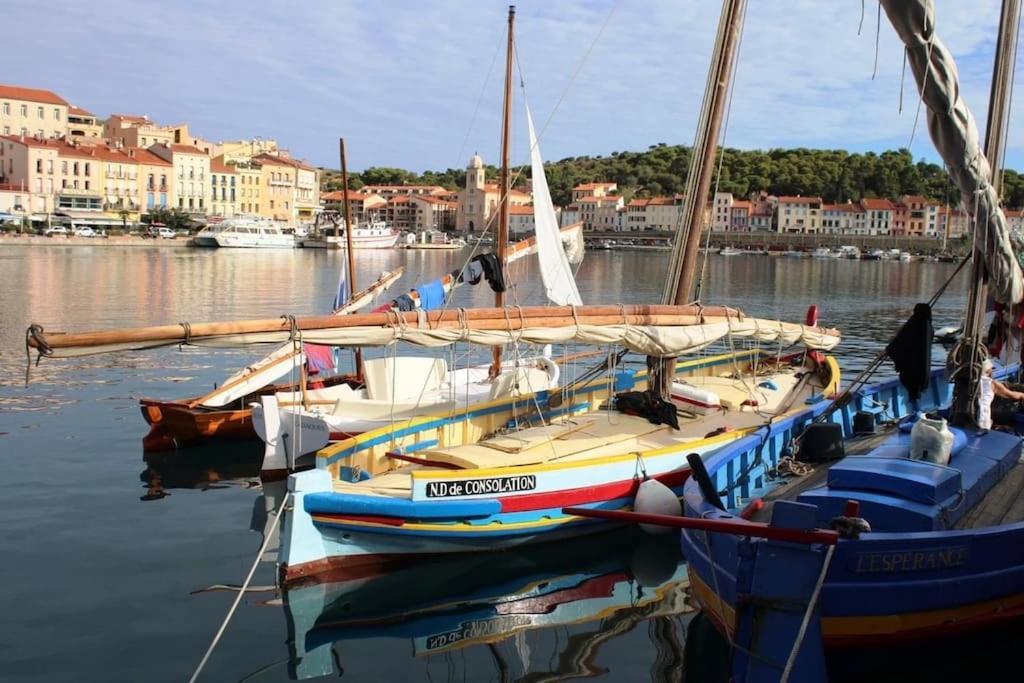 Appartamento Studio Bon Dia/Balcon/Proche Criques Et Collioure Port Vendres Esterno foto
