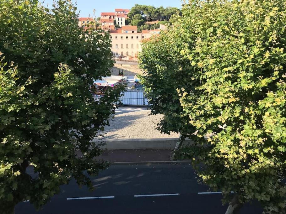 Appartamento Studio Bon Dia/Balcon/Proche Criques Et Collioure Port Vendres Esterno foto