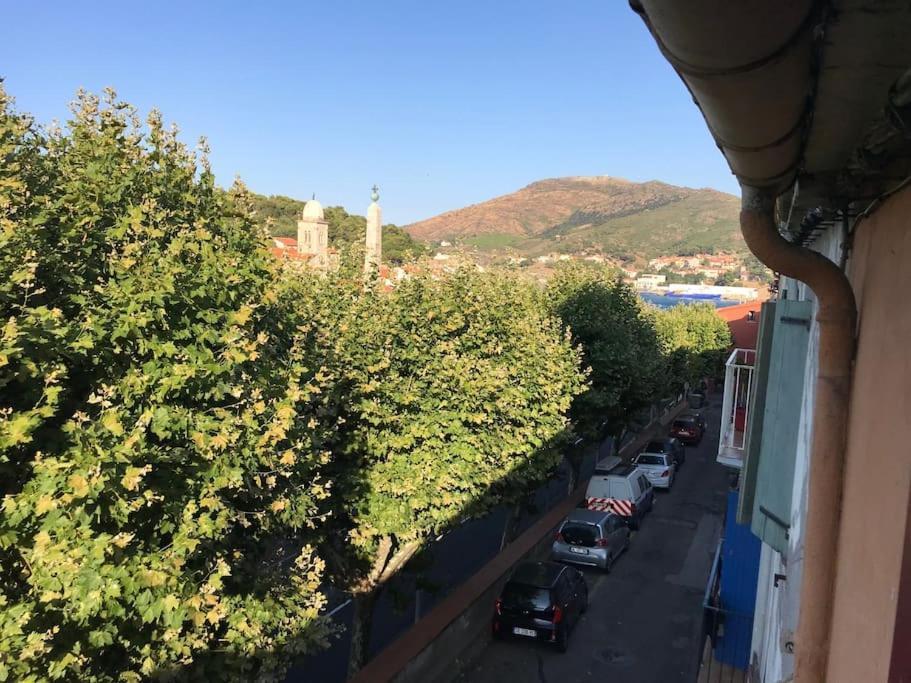 Appartamento Studio Bon Dia/Balcon/Proche Criques Et Collioure Port Vendres Esterno foto
